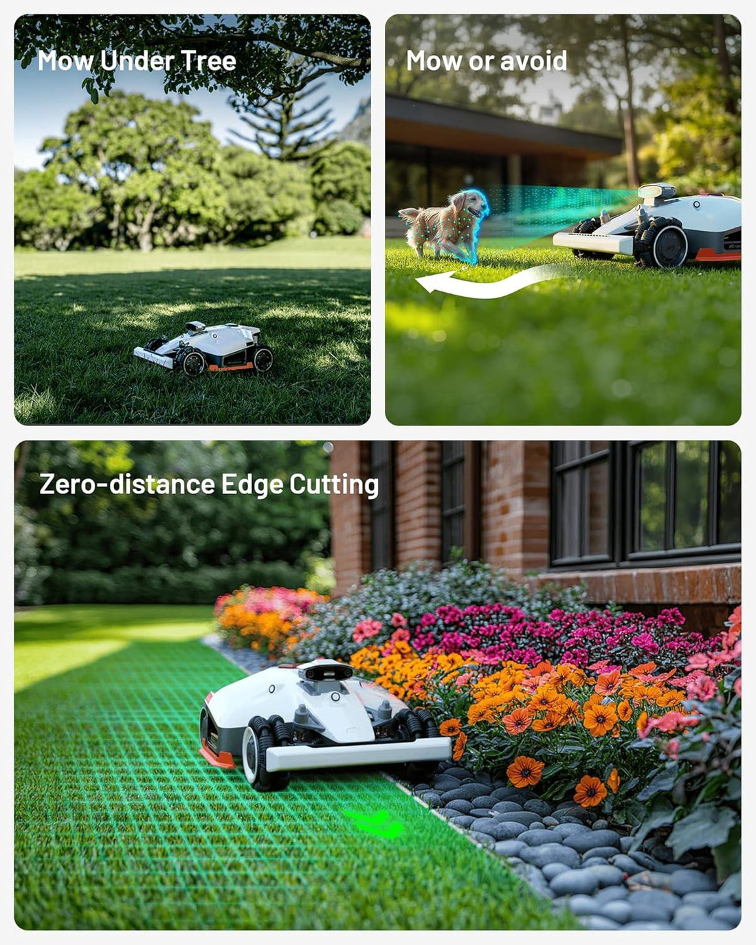 Smart Lawn Care Services: What MowBot Direct Offers Beyond Mowing